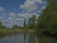 NL, Noord-Brabant, Drimmelen, Buiten Kooigat 12, Saxifraga-Jan van der Straaten