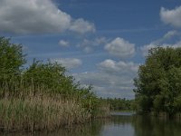 NL, Noord-Brabant, Drimmelen, Buiten Kooigat 14, Saxifraga-Jan van der Straaten