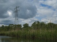 NL, Noord-Brabant, Drimmelen, Buiten Kooigat 27, Saxifraga-Jan van der Straaten