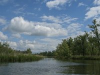 NL, Noord-Brabant, Drimmelen, Buiten Kooigat 31, Saxifraga-Jan van der Straaten