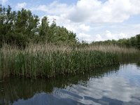 NL, Noord-Brabant, Drimmelen, Buiten Kooigat 35, Saxifraga-Willem van Kruijsbergen