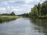 NL, Noord-Brabant, Drimmelen, Buiten Kooigat 43, Saxifraga-Willem van Kruijsbergen