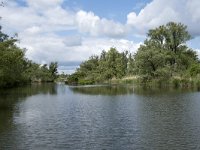 NL, Noord-Brabant, Drimmelen, Buiten Kooigat 44, Saxifraga-Willem van Kruijsbergen