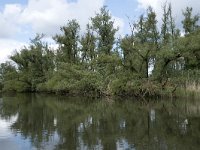 NL, Noord-Brabant, Drimmelen, Buiten Kooigat 47, Saxifraga-Willem van Kruijsbergen