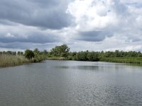 NL, Noord-Brabant, Drimmelen, Buiten Kooigat 51, Saxifraga-Willem van Kruijsbergen