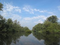 NL, Noord-Brabant, Drimmelen, Buiten Kooigat 59, Saxifraga-Bart Vastenhouw