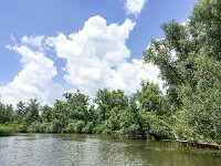 NL, Noord-Brabant, Drimmelen, Buiten Kooigat 62, Saxifraga-Bart Vastenhouw