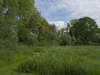 NL, Noord-Brabant, Drimmelen, De Dood 12, Saxifraga-Jan van der Straaten