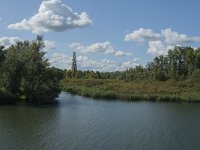 NL, Noord-Brabant, Drimmelen, De Dood 19, Saxifraga-Jan van der Straaten