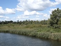 NL, Noord-Brabant, Drimmelen, Gat van Honderd en Dertig 10, Saxifraga-Willem van Kruijsbergen