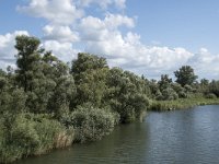 NL, Noord-Brabant, Drimmelen, Gat van Honderd en Dertig 12, Saxifraga-Willem van Kruijsbergen