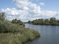 NL, Noord-Brabant, Drimmelen, Gat van Honderd en Dertig 15, Saxifraga-Willem van Kruijsbergen