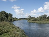 NL, Noord-Brabant, Drimmelen, Gat van Honderd en Dertig 19, Saxifraga-Willem van Kruijsbergen