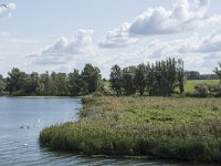 NL, Noord-Brabant, Drimmelen, Gat van Honderd en Dertig 22, Saxifraga-Willem van Kruijsbergen