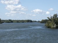 NL, Noord-Brabant, Drimmelen, Gat van Van Kampen 9, Saxifraga-Willem van Kruijsbergen