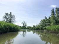 NL, Noord-Brabant, Drimmelen, Gat van de Buisjes 2, Saxifraga-Bart Vastenhouw