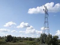 NL, Noord-Brabant, Drimmelen, Gat van de Noorderklip 13, Saxifraga-Willem van Kruijsbergen