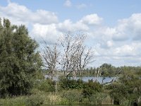 NL, Noord-Brabant, Drimmelen, Gat van de Noorderklip 7, Saxifraga-Willem van Kruijsbergen