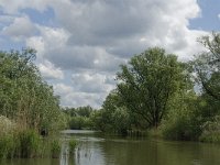 NL, Noord-Brabant, Drimmelen, Gat van de Plomp 5, Saxifraga-Jan van der Straaten