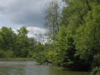 NL, Noord-Brabant, Drimmelen, Gat van de Plomp 8, Saxifraga-Jan van der Straaten