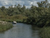 NL, Noord-Brabant, Drimmelen, Gat van de Slek 16, Saxifraga-Jan van der Straaten