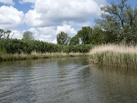 NL, Noord-Brabant, Drimmelen, Gat van de Slek 23, Saxifraga-Willem van Kruijsbergen