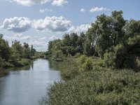 NL, Noord-Brabant, Drimmelen, Gat van de Slek 32, Saxifraga-Willem van Kruijsbergen