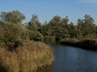 NL, Noord-Brabant, Drimmelen, Gat van de Slek 52, Saxifraga-Jan van der Straaten