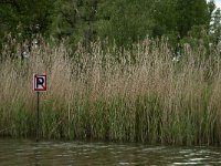 NL, Noord-Brabant, Drimmelen, Gat van de Slek 54, Saxifraga-Jan van der Straaten