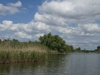 NL, Noord-Brabant, Drimmelen, Gat van de Vloeien 11, Saxifraga-Jan van der Straaten