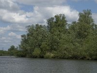 NL, Noord-Brabant, Drimmelen, Gat van de Vloeien 12, Saxifraga-Jan van der Straaten