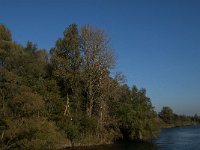 NL, Noord-Brabant, Drimmelen, Gat van de Vloeien 23, Saxifraga-Jan van der Straaten