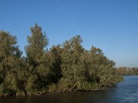 NL, Noord-Brabant, Drimmelen, Gat van de Vloeien 52, Saxifraga-Jan van der Straaten