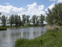 NL, Noord-Brabant, Drimmelen, Gat van de Zuiderklip 1, Saxifraga-Willem van Kruijsbergen