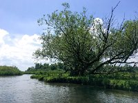 NL, Noord-Brabant, Drimmelen, Gat van de Zuiderklip 5, Saxifraga-Bart Vastenhouw