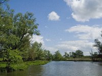 NL, Noord-Brabant, Drimmelen, Keesjes Jan Killeke 3, Saxifraga-Jan van der Straaten