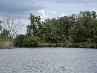 NL, Noord-Brabant, Drimmelen, Keesjes Jan Killeke 34, Saxifraga-Willem van Kruijsbergen