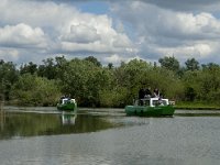 NL, Noord-Brabant, Drimmelen, Keesjes Killeke 4, Saxifraga-Jan van der Straaten