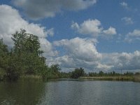 NL, Noord-Brabant, Drimmelen, Keesjes Killeke 7, Saxifraga-Jan van der Straaten