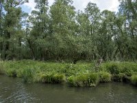 NL, Noord-Brabant, Drimmelen, Keizersdijk 16, Saxifraga-Willem van Kruijsbergen