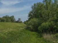 NL, Noord-Brabant, Drimmelen, Kuijpershoek 6, Saxifraga-Jan van der Straaten