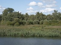 NL, Noord-Brabant, Drimmelen, Middelste Gat van het Zand 11, Saxifraga-Willem van Kruijsbergen