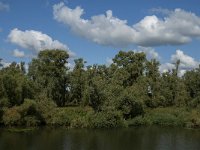 NL, Noord-Brabant, Drimmelen, Middelste Gat van het Zand 4, Saxifraga-Jan van der Straaten