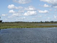 NL, Noord-Brabant, Drimmelen, Middelste Gat van het Zand, Polder Lepelaar 3, Saxifraga-Willem van Kruijsbergen