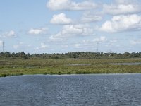 NL, Noord-Brabant, Drimmelen, Middelste Gat van het Zand, Polder Lepelaar 4, Saxifraga-Willem van Kruijsbergen