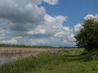 NL, Noord-Brabant, Drimmelen, Noorderplaat 11, Saxifraga-Jan van der Straaten