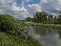 NL, Noord-Brabant, Drimmelen, Noorderplaat 13, Saxifraga-Jan van der Straaten