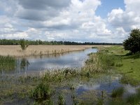 NL, Noord-Brabant, Drimmelen, Noorderplaat 42, Saxifraga-Willem van Kruijsbergen