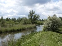 NL, Noord-Brabant, Drimmelen, Noorderplaat 45, Saxifraga-Willem van Kruijsbergen