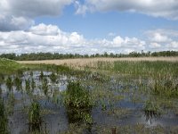 NL, Noord-Brabant, Drimmelen, Noorderplaat 56, Saxifraga-Willem van Kruijsbergen